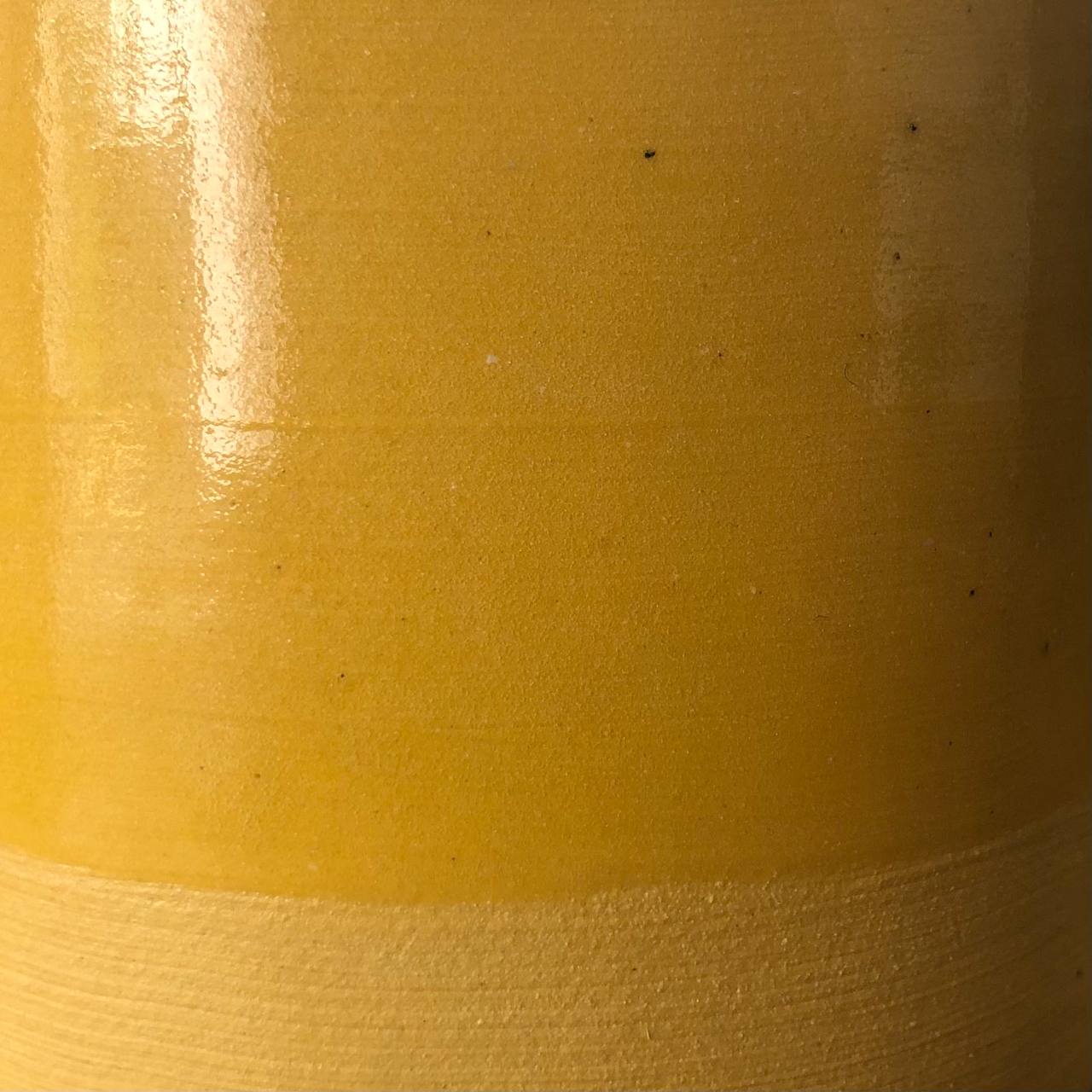 Lumignon Pollen
